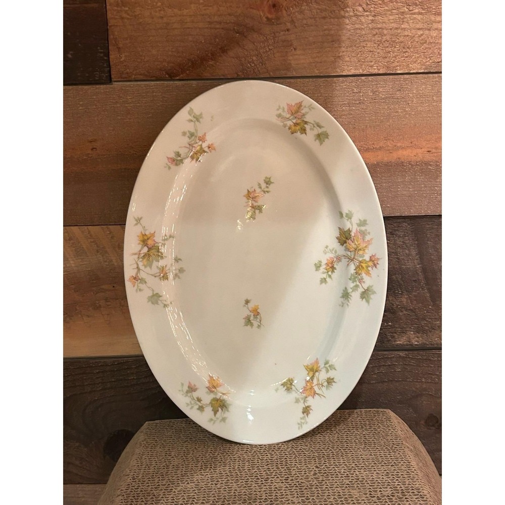 Theodore Haviland Limoges France 14" Oval Serving platter pink flowers